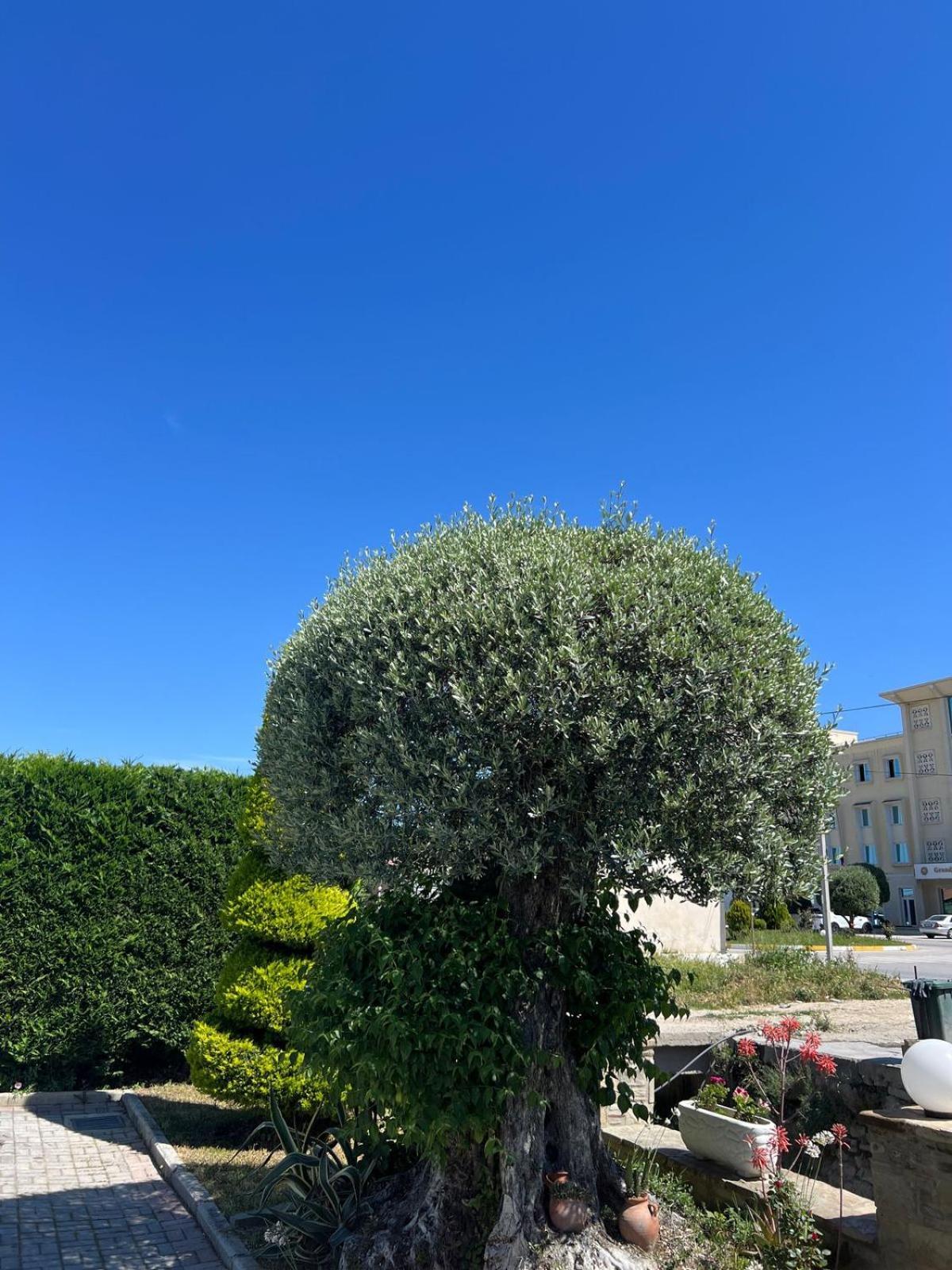 Kaceli Hotel Berat